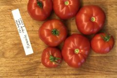 IMG_7748-scaled-e1663790242655